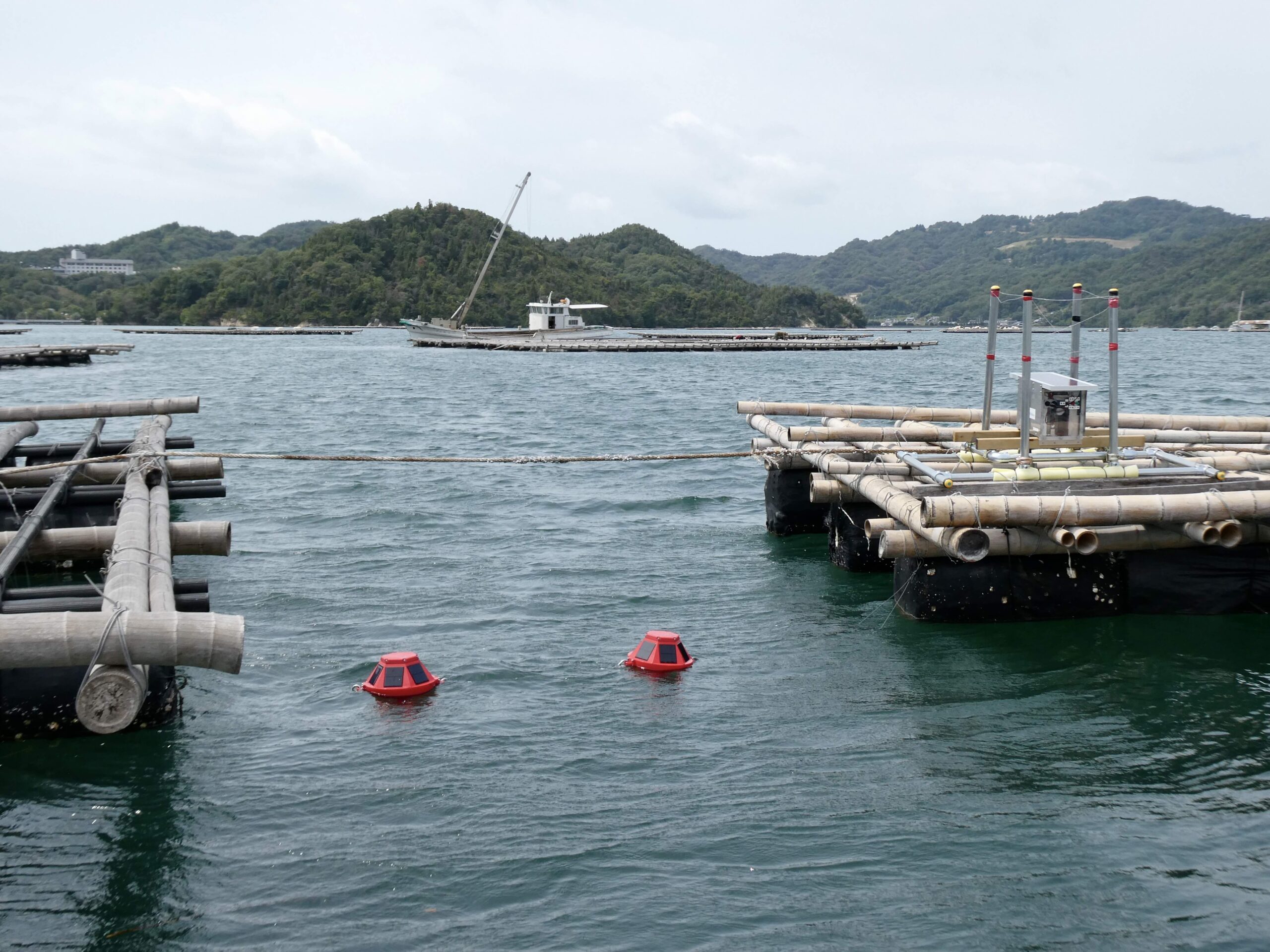 Buoy deployment in Mitsuguchi Bay